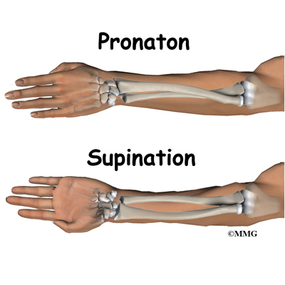 Index of /images/ContentImages/Fractures/adult_fractures/adult_wrist_fx
