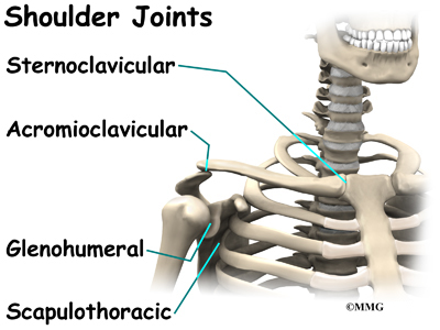 shoulder_dislocation_anatomy03.jpg