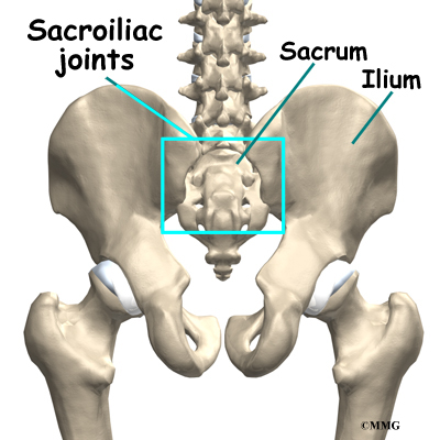 Sacroiliac Joint Dysfunction | Orthogate
