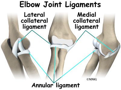 Ulnar Collateral Ligament Elbow Physical Therapy