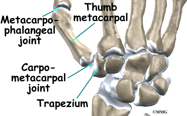 Thumb Arthritis | eOrthopod.com