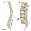 Lumbar Spine Anatomy | eOrthopod.com