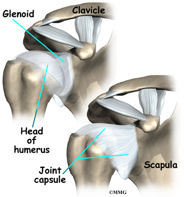 http://www.eorthopod.com/sites/default/files/images/shoulder_anatomy_ligaments01.jpg