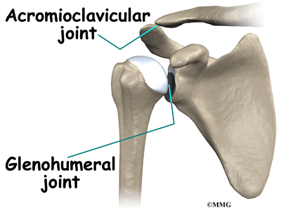 Shoulder Dislocations | eOrthopod.com