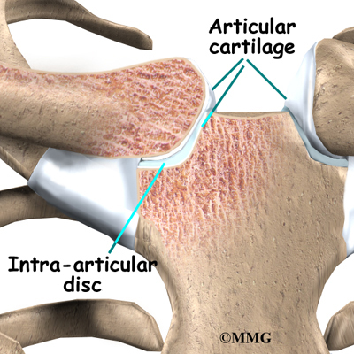 Shoulder Bone Protrusion