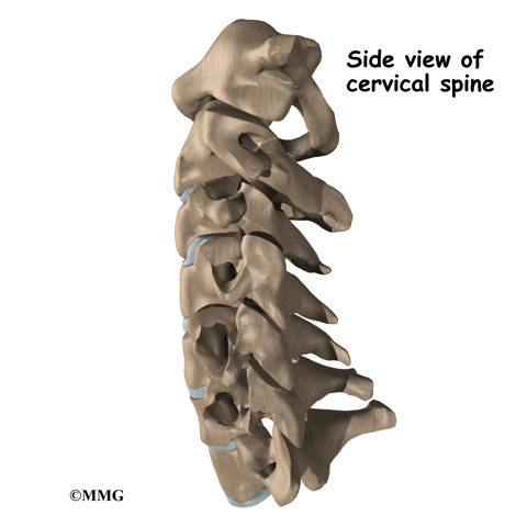 Cervical Spinal Stenosis - eOrthopod.com
