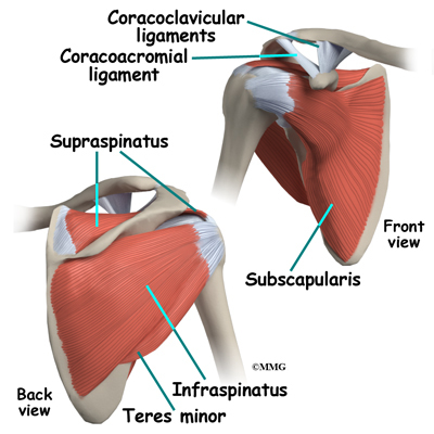 Shoulder Arthroscopy | eOrthopod.com